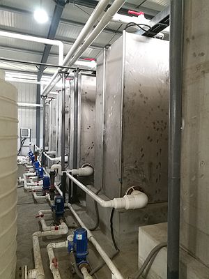 長沙湘麓環(huán)保科技有限公司,長沙湘麓臭氧機(jī),長沙食品廠臭氧消毒機(jī),長沙臭氧發(fā)生器,污水處理臭氧設(shè)備